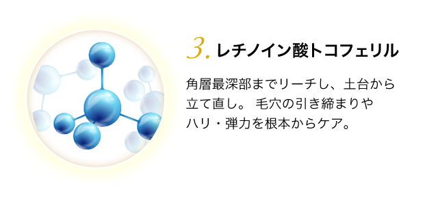 パルミチン酸レチノール　肌への刺激が少なく、安定性に優れた成分。すこやかな肌環境へと立て直し、オイリー肌や肌荒れなど、複合的にアプローチします